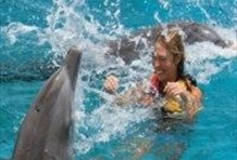 Swim with the Dolphins in the Mayan Riviera